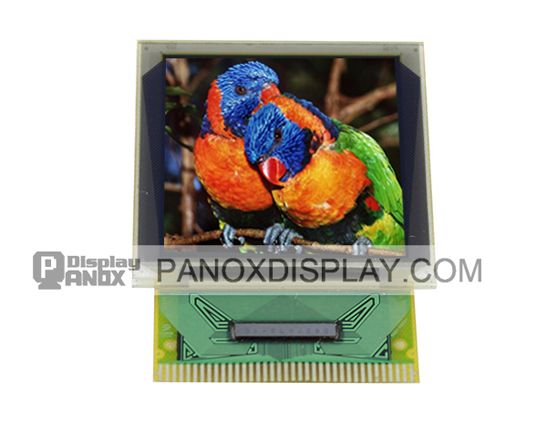 1.77  inch Full Color OLED Display 