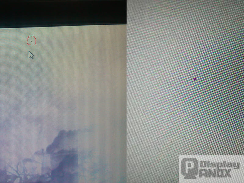 Close-up of LCD screen showing a dead pixel defect marked with a red circle, with pixel matrix visible on the right