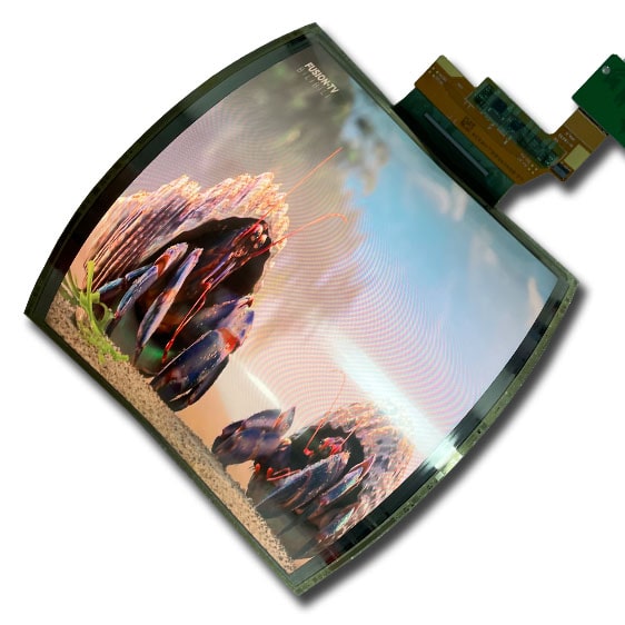 Flexible OLED Display