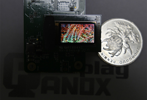 0.71 inch Micro OLED For AR